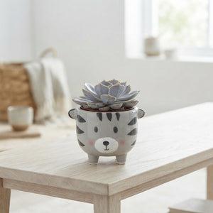 Animal-Shaped Succulent Arrangement – Grey, 7cm Pot