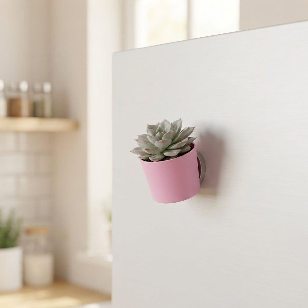 Mixed Succulent in Magnetic Pot – 5.5cm