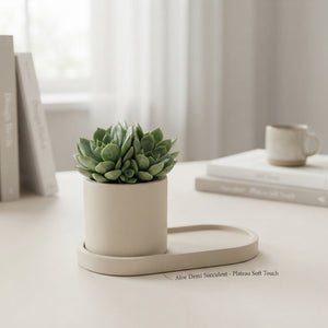 Soft-Touch Succulent Arrangement – 26cm Pot