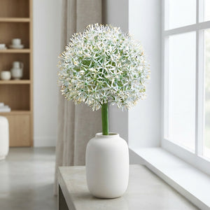 Allium ‘Mount Everest’ Flower Bulb