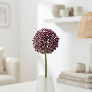 Allium Summer Drummer Flower Bulbs – Mixed Colours