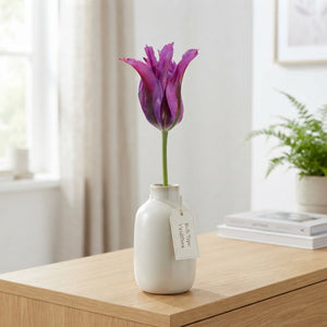 Tulip ‘Purple Doll’ Viridiflora Bulbs – Pack of 7