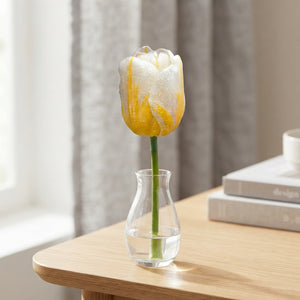 Tulipa ‘Alfred Heineken’ Tulip Bulbs – 12/+ Size