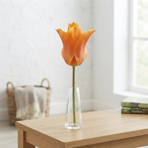 Tulipa ‘Ballerina’ Lily-Flowered Tulip Bulbs – Pack of 7
