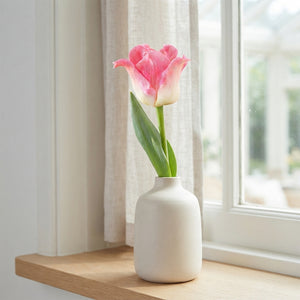 Tulip ‘Crown of Dynasty’ Bulbs – Pack of 7