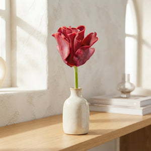 Tulipa ‘Crown Red Dress’ Flower Bulbs – Pack of 7