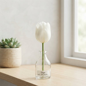 Tulipa Darwin Hybrid ‘Lanka’ Tulip Bulbs – Pack of 7