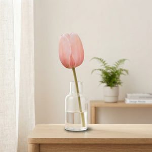 Salmon Impression Darwin Hybrid Tulip Bulbs