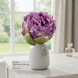 Tulip ‘Double Late Blue Wow’ Flower Bulbs – 7 Bulbs