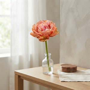 Copper Double Late Tulip Bulbs – 7 Bulbs