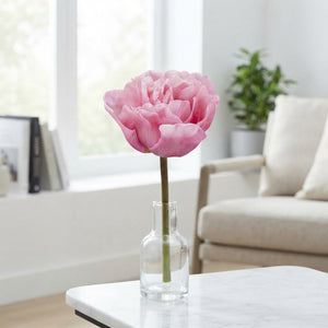 Tulipa Double Late ‘Mariage’ Tulip Bulbs – 7 Bulbs