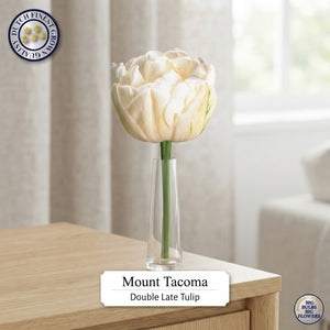 Double Late Tulip ‘Mount Tacoma’ Bulbs – 7 Pack