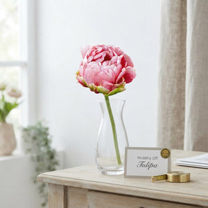 Double Late Tulip ‘Wedding Gift’ Bulbs – 7 Pack