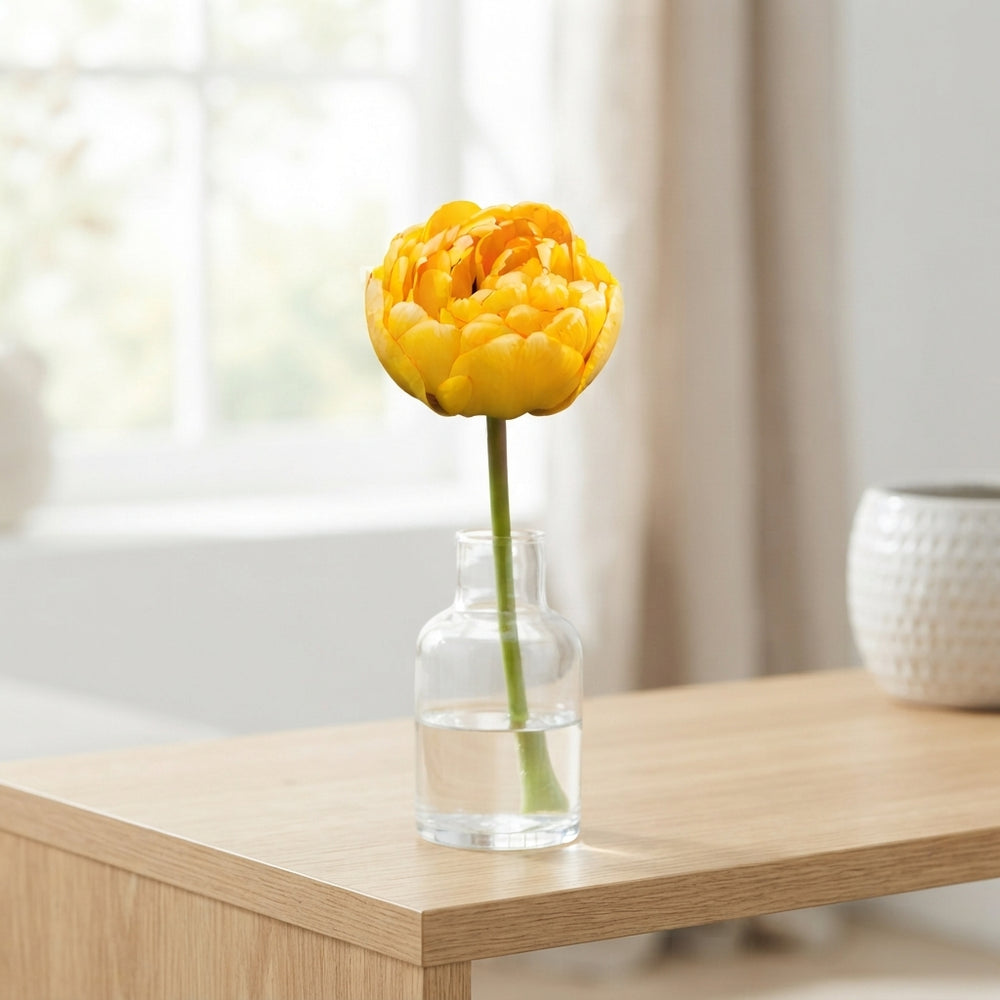 Tulipa Double Late ‘Yellow Pomponette’ Flower Bulbs – Pack of 7