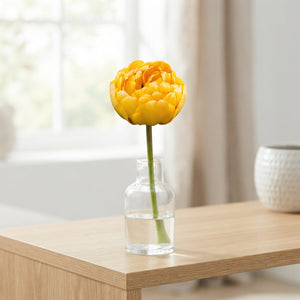 Tulipa Double Late ‘Yellow Pomponette’ Flower Bulbs – Pack of 7
