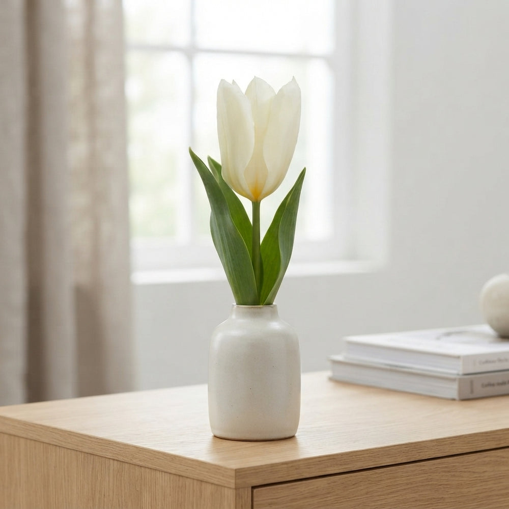 Tulipa Fosteriana ‘Purissima’ White Tulip Bulbs