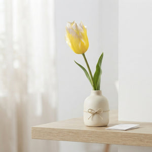Tulipa fosteriana ‘Sweetheart’ Flower Bulbs – Pack of 7