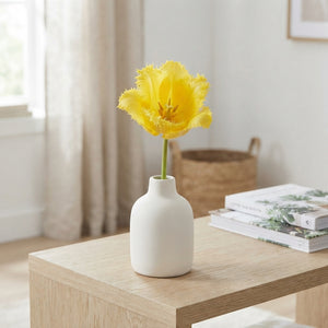 Tulipa ‘Fringed Crystal Star’ Tulip Bulbs – 12/+