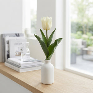 Tulipa Kaufmanniana ‘Concerto’ Tulip Bulbs – Pack of 10