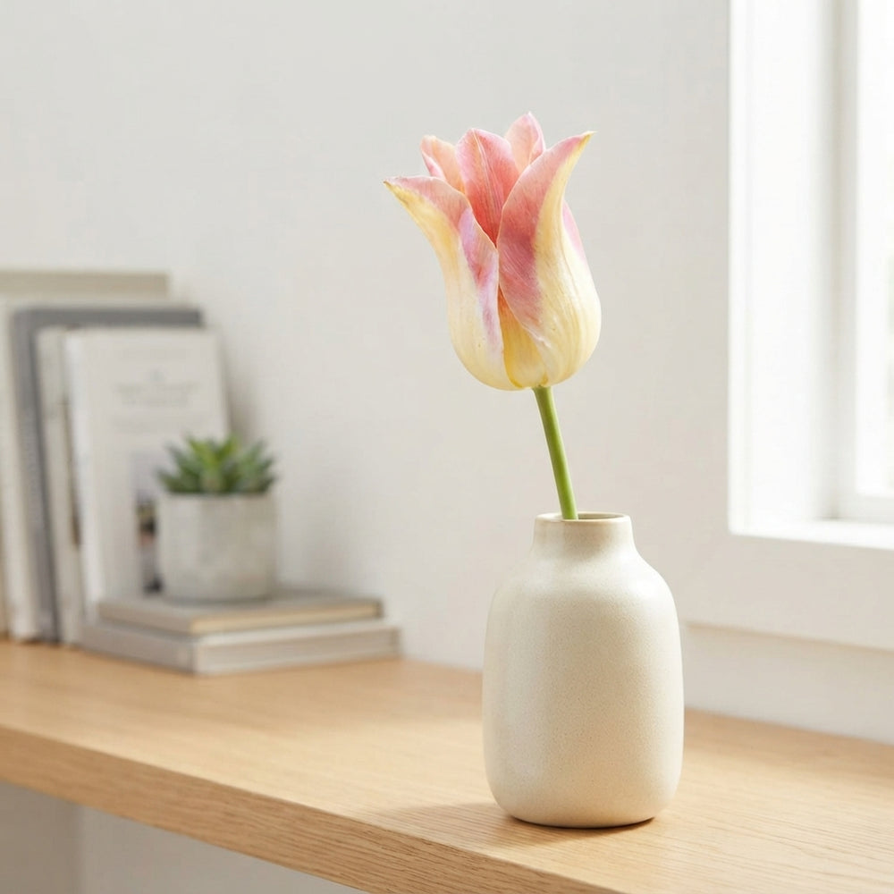 Elegant Lady Lily-Flowering Tulip Bulbs – Pack of 7