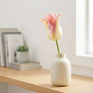 Elegant Lady Lily-Flowering Tulip Bulbs – Pack of 7