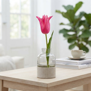 Pretty Love Lily-Flowered Tulip Bulbs – 7 Pack