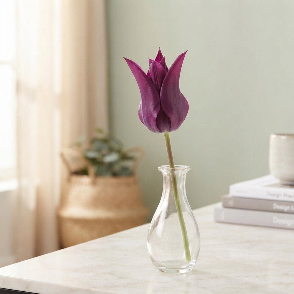 Purple Dream Lily-Flowering Tulip Bulbs – Pack of 7