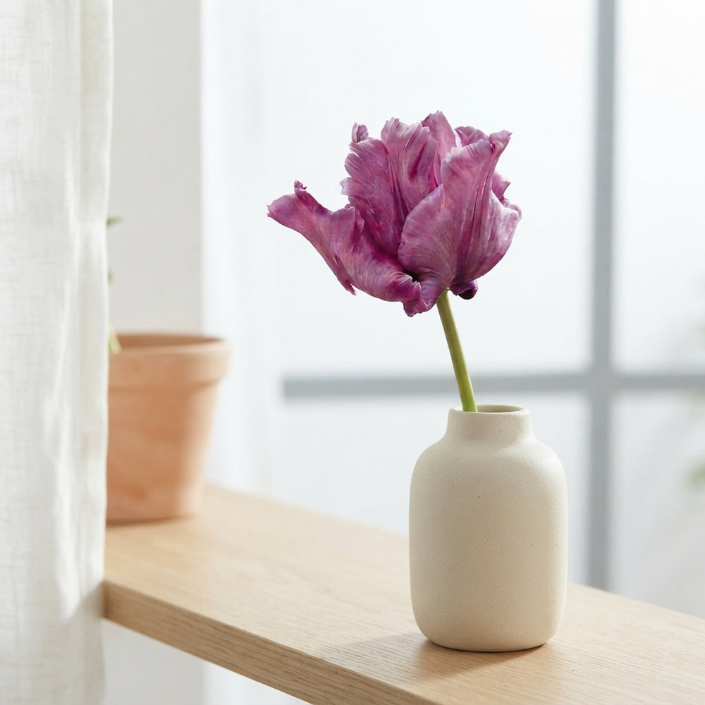 Tulip 'Parrot James Last' Bulbs – 7 Bulbs