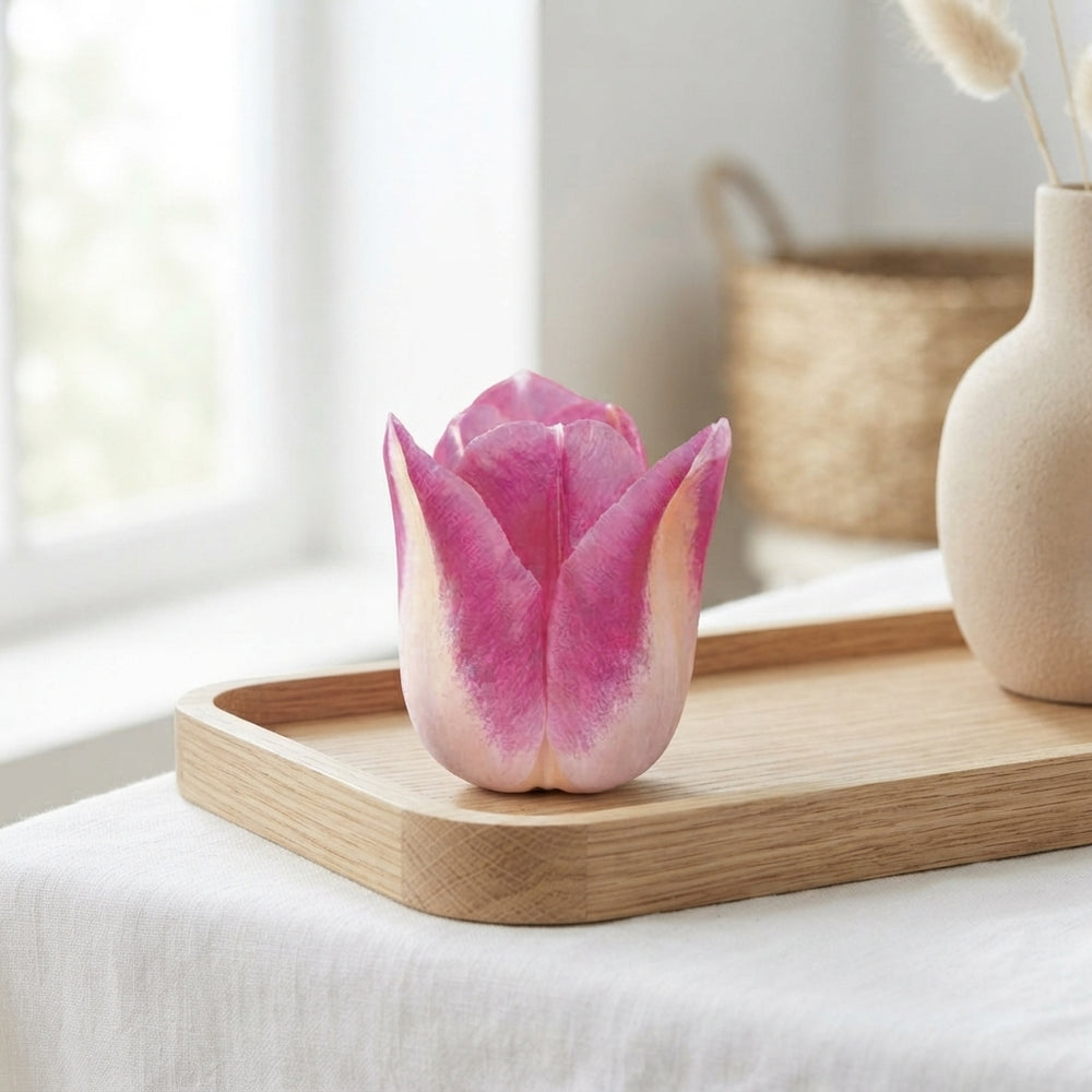 Tulipa ‘Triumph Infinity’ Flower Bulbs – Size 12/+