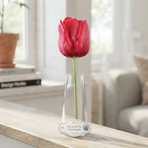 Tulipa 'Seadov' Triumph Tulip Bulbs – Pack of 10
