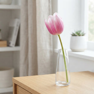 Tulipa Triumph ‘Synaeda Blue’ Flower Bulbs – 7 Bulbs
