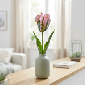 Tulipa 'China Town' Viridiflora Tulip Bulbs – 7 Bulbs