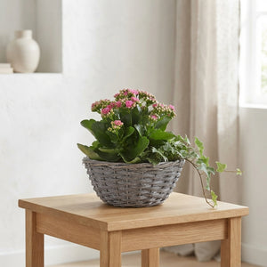 Mand Willow Arrangement – 29cm Ornamental Pot