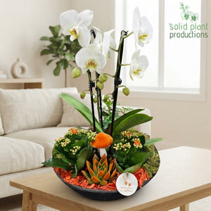 Orange Autumn Plant Arrangement – 32cm Terracotta Pot