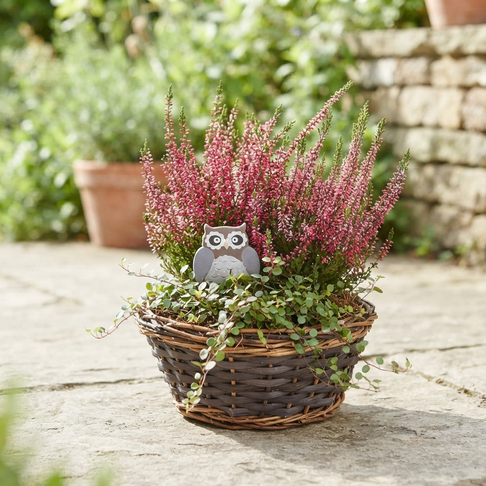 Decorative Wicker Plant Arrangement – 25cm