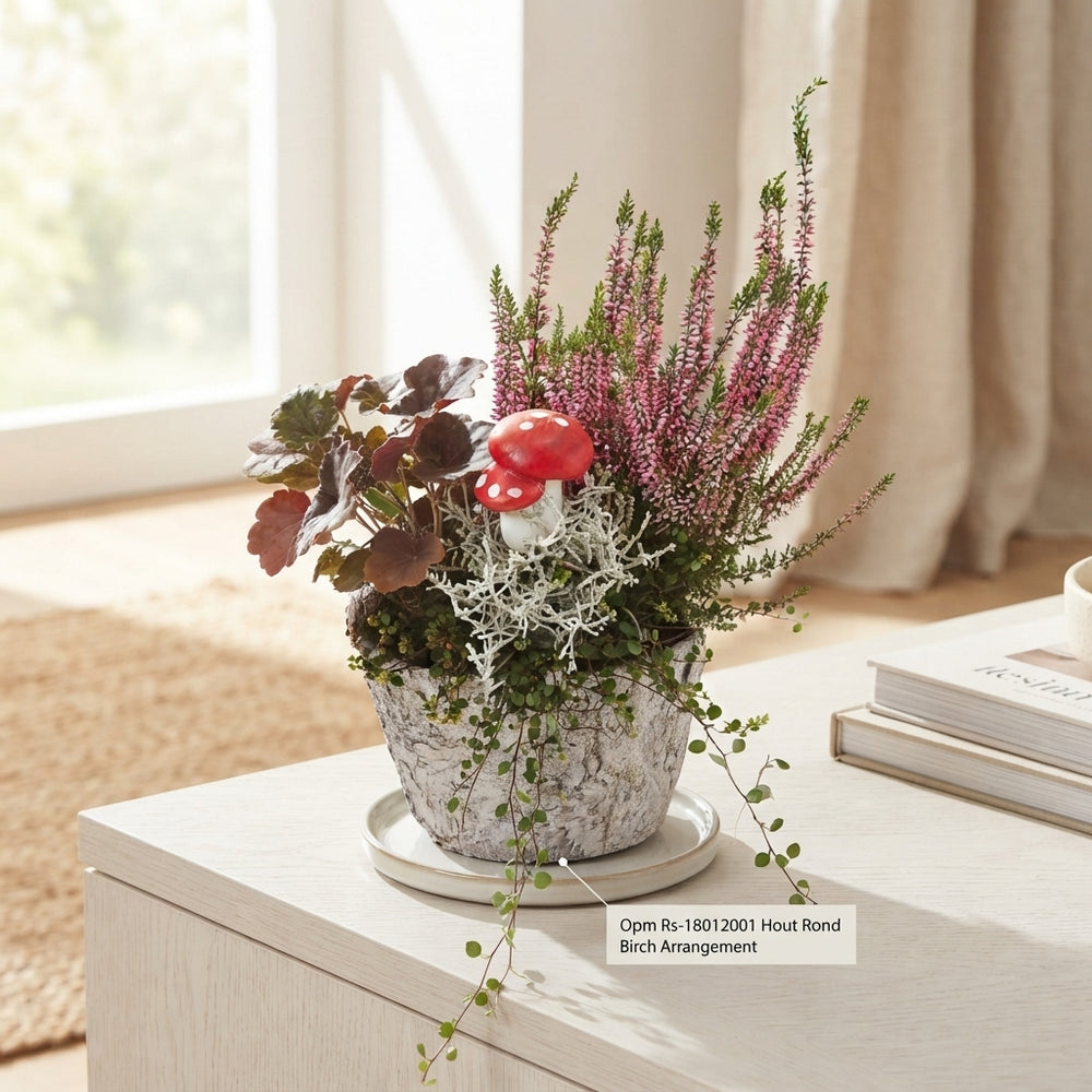 Birch Arrangement in Ornamental Pot – 20cm
