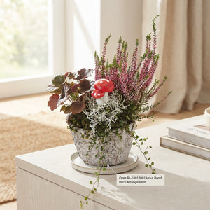 Birch Arrangement in Ornamental Pot – 20cm