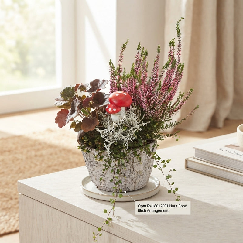 Birch Arrangement in Ornamental Pot – 20cm