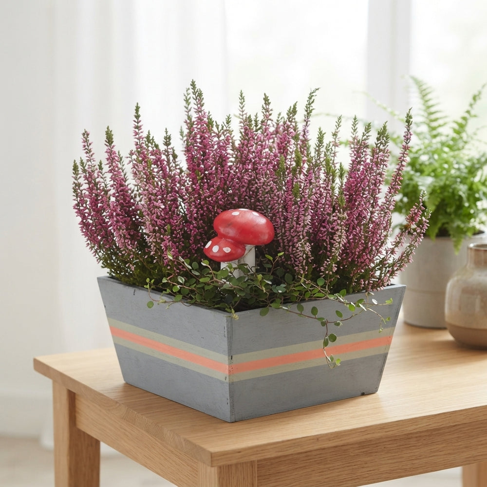 Wooden Pot Plant Arrangement – 21cm