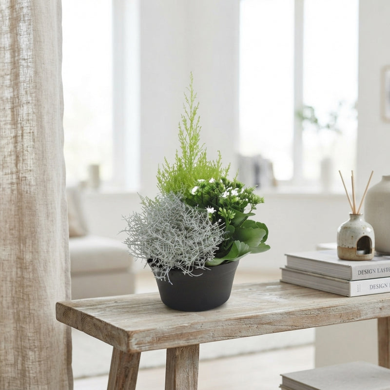 Patio Plant Arrangement in 19cm Plastic Dish
