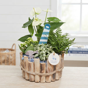 Milano Large Indoor Plant Arrangement – 23cm Pot