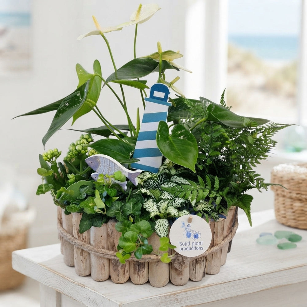 Large Maritiem Wooden Plant Arrangement – 30cm Pot