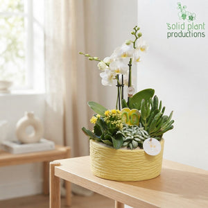 Stella Mixed Flower Arrangement – 22cm Ceramic Pot