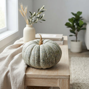 Decorative Grey Jarrahdale Pumpkin – Large Ornamental Fruit