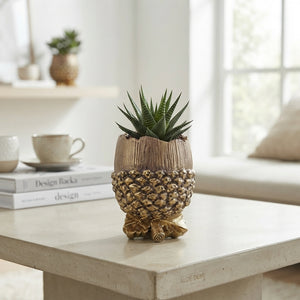 Succulent Arrangement in Ceramic Acorn Pot – 16cm