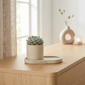Soft-Touch Succulent Arrangement – 26cm Pot