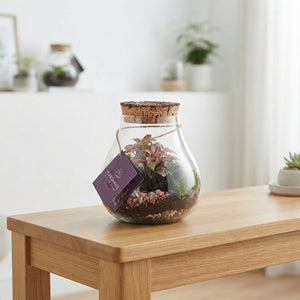 Medium Glass Terrarium Arrangement – 16cm