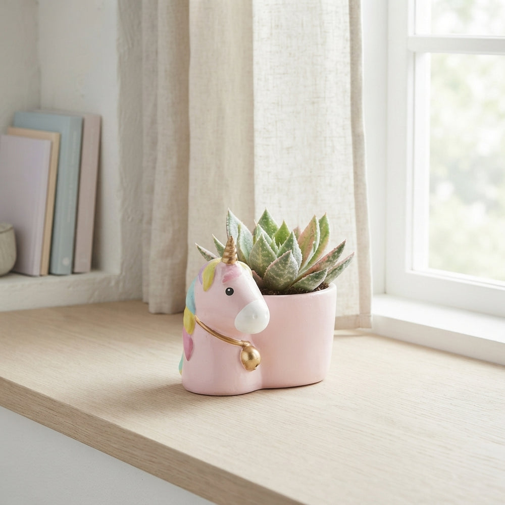 Painted Echeveria Mixed Colours – 6cm Pot