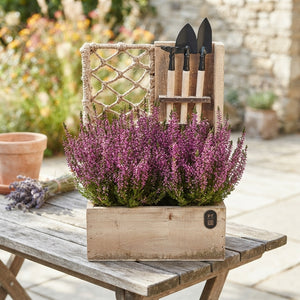Autumn Outdoor Plant Arrangement – 20cm Rope Pot