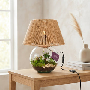Wardian Terrarium Moonlight Arrangement – 36cm